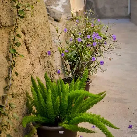 Casa Piedra Picuda 1 Apartment